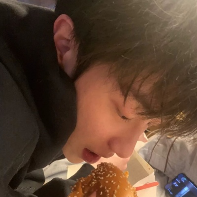 兽设写实风格绘画Furry群