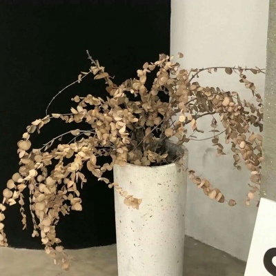 Furry萌系风格设计技巧福瑞群